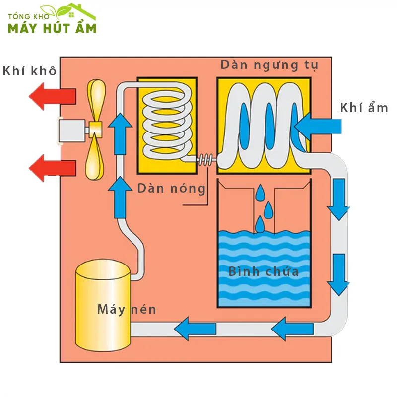 nguyên lý máy hút ẩm
