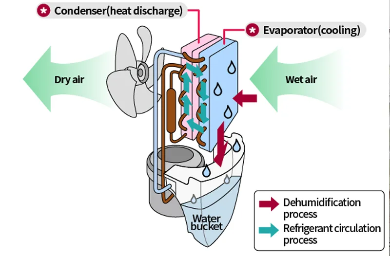 Tất tần tật về cấu tạo và nguyên lý hoạt động của máy hút ẩm