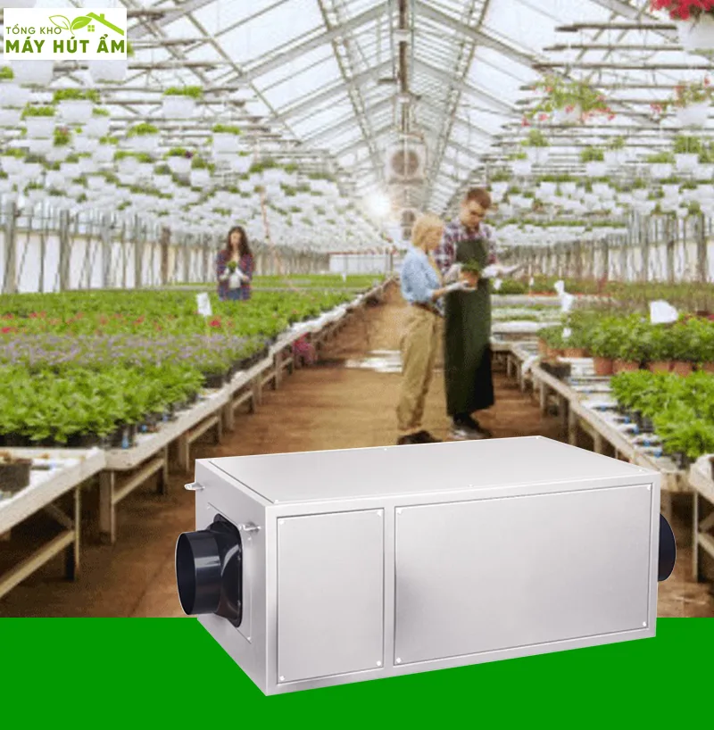 Máy hút ẩm - Tổng kho máy hút ẩm máy hút ẩm treo trần kosmen km-26e