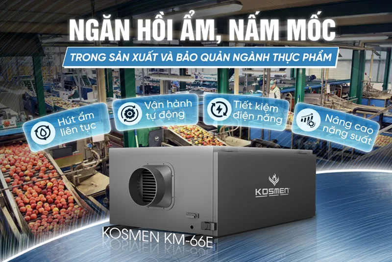 máy hút ẩm kosmen km-66e