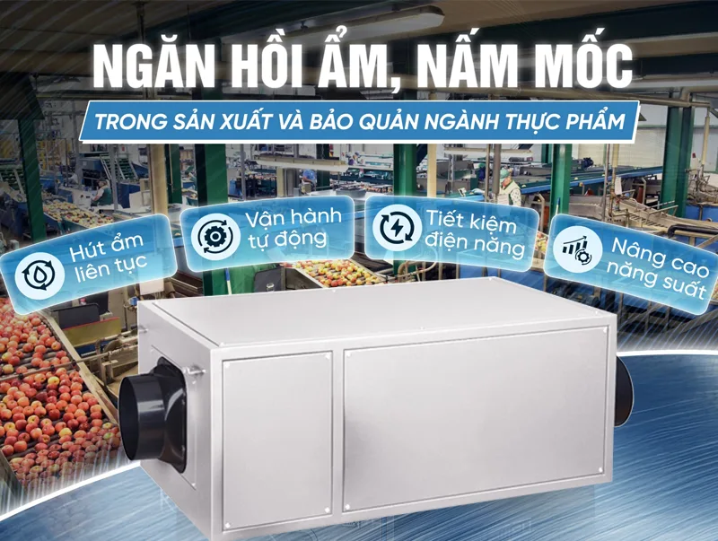 Máy hút ẩm - Tổng kho máy hút ẩm máy hút ẩm kosmen km-96e