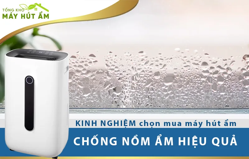 kinh nghiệm mua máy hút ẩm