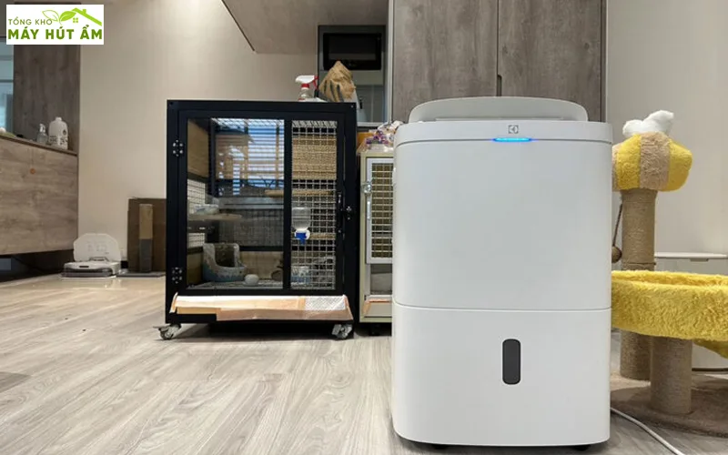 Máy hút ẩm - Tổng kho máy hút ẩm máy hút ẩm Electrolux