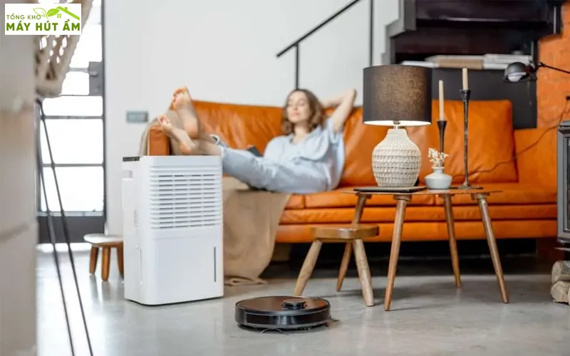 máy hút ẩm gia đình