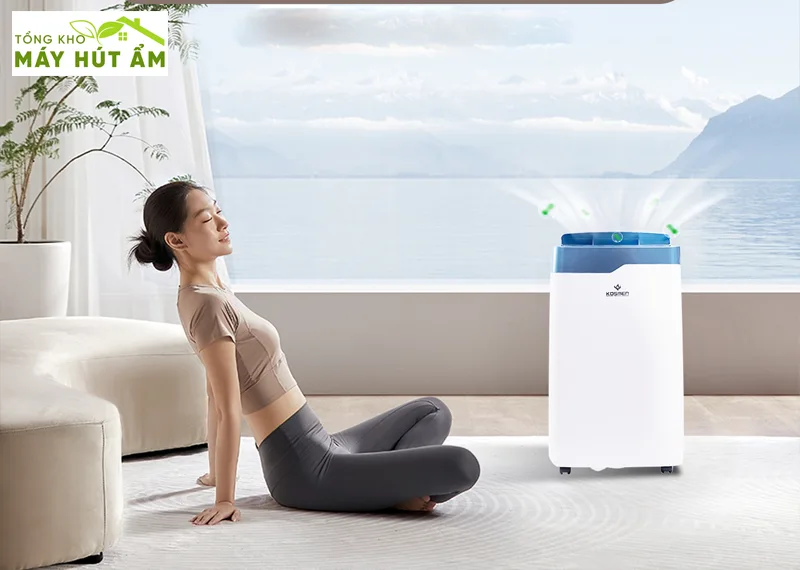 nên chọn máy hút ẩm 20l, 30l, 50l