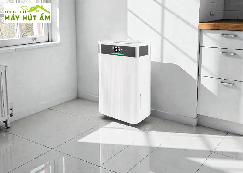 nên chọn máy hút ẩm 20l, 30l hay 50l