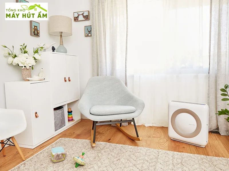 Review 5 máy hút ẩm và lọc không khí tốt nhất 2026