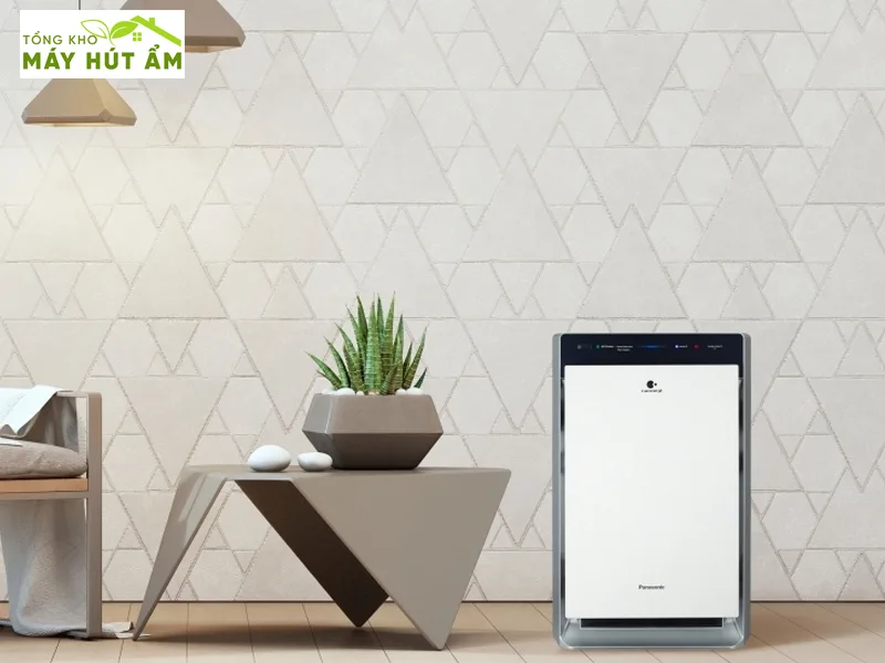 Review 5 máy hút ẩm và lọc không khí tốt nhất 2026