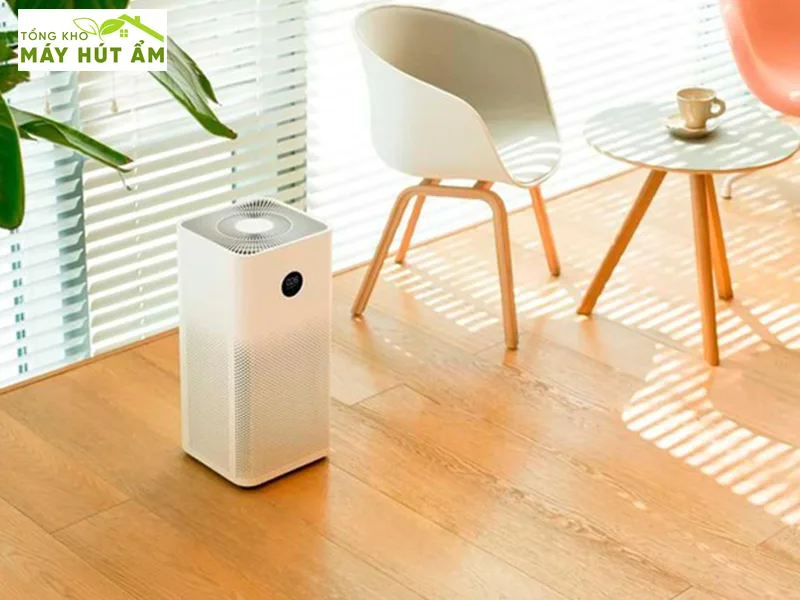 Review 5 máy hút ẩm và lọc không khí tốt nhất 2026