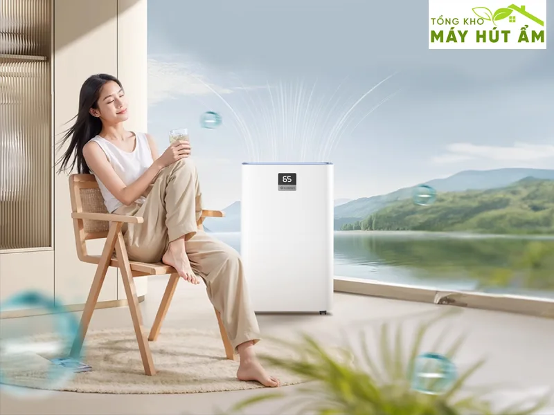 máy hút ẩm kosmen có tốt không