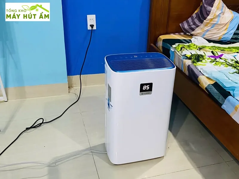 Review 5 máy hút ẩm và lọc không khí tốt nhất 2026